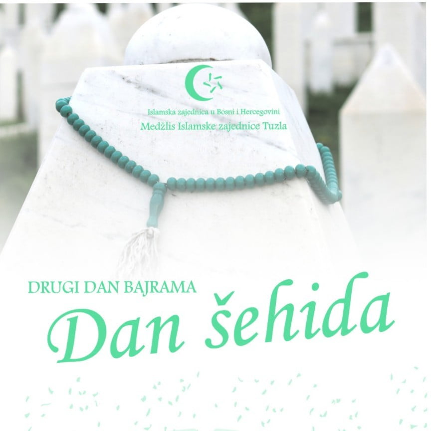 IMG da1ba0f645cb00856d350f416cc4f419 V crop 45