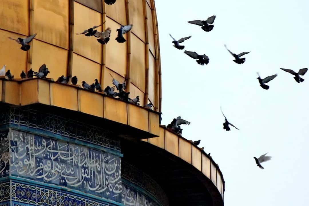 3704f21be34c5038e8ee0095e448e791 crop 69