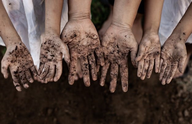 family parent children showing dirty hands after planting tree together garden 7186 2702