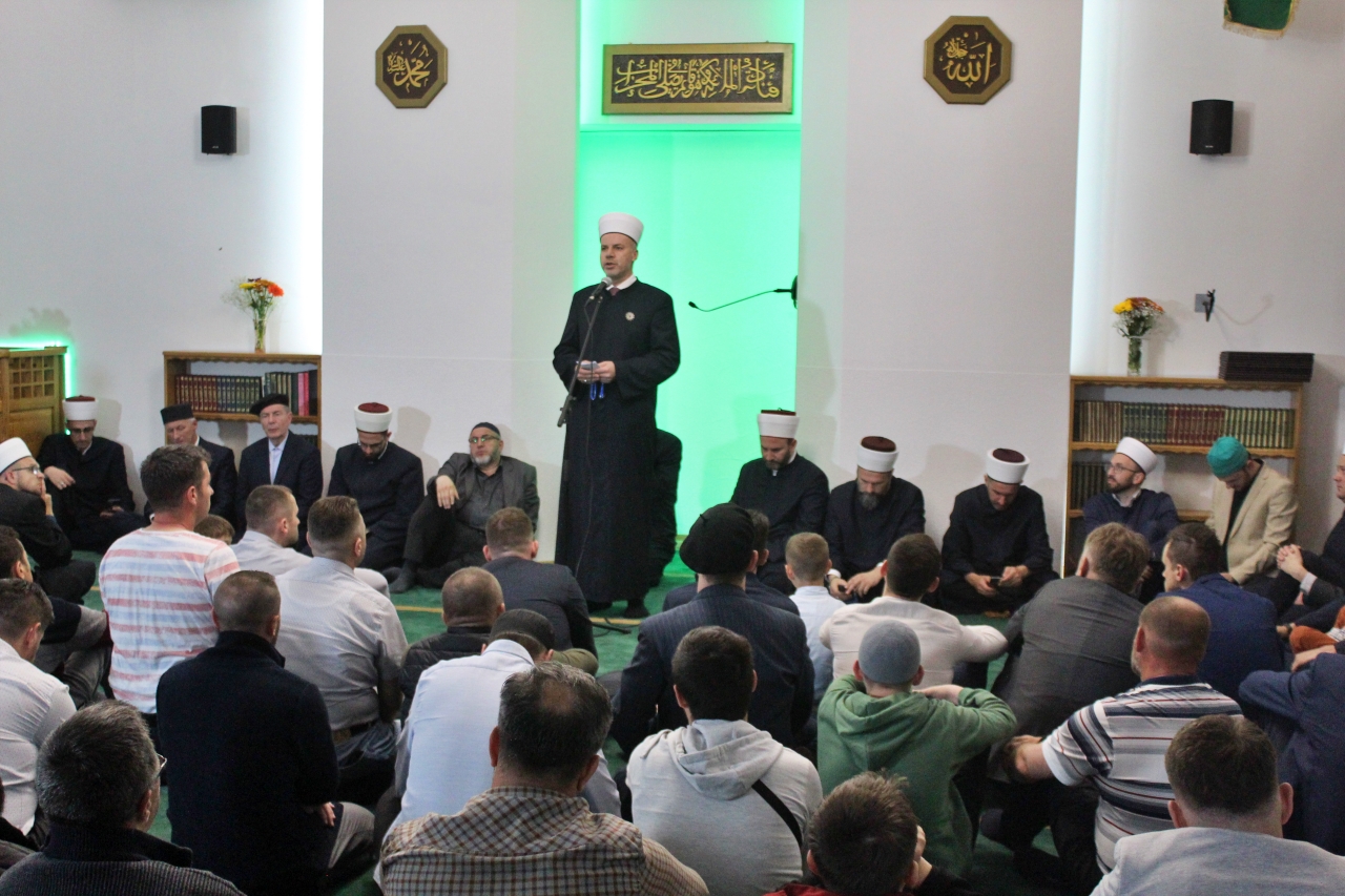 IMG 2205
